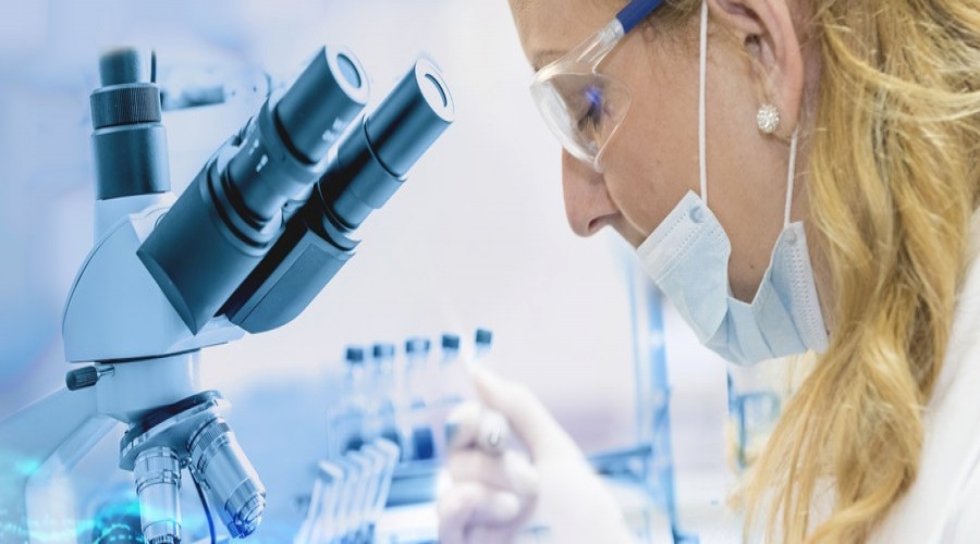 高水平的科研实力