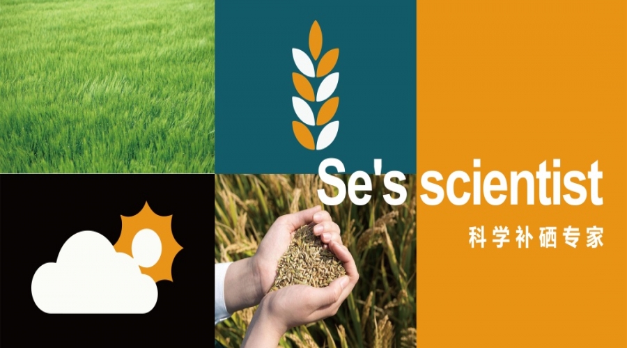“抗癌之王”硒 - 化疗的“黄金搭档”